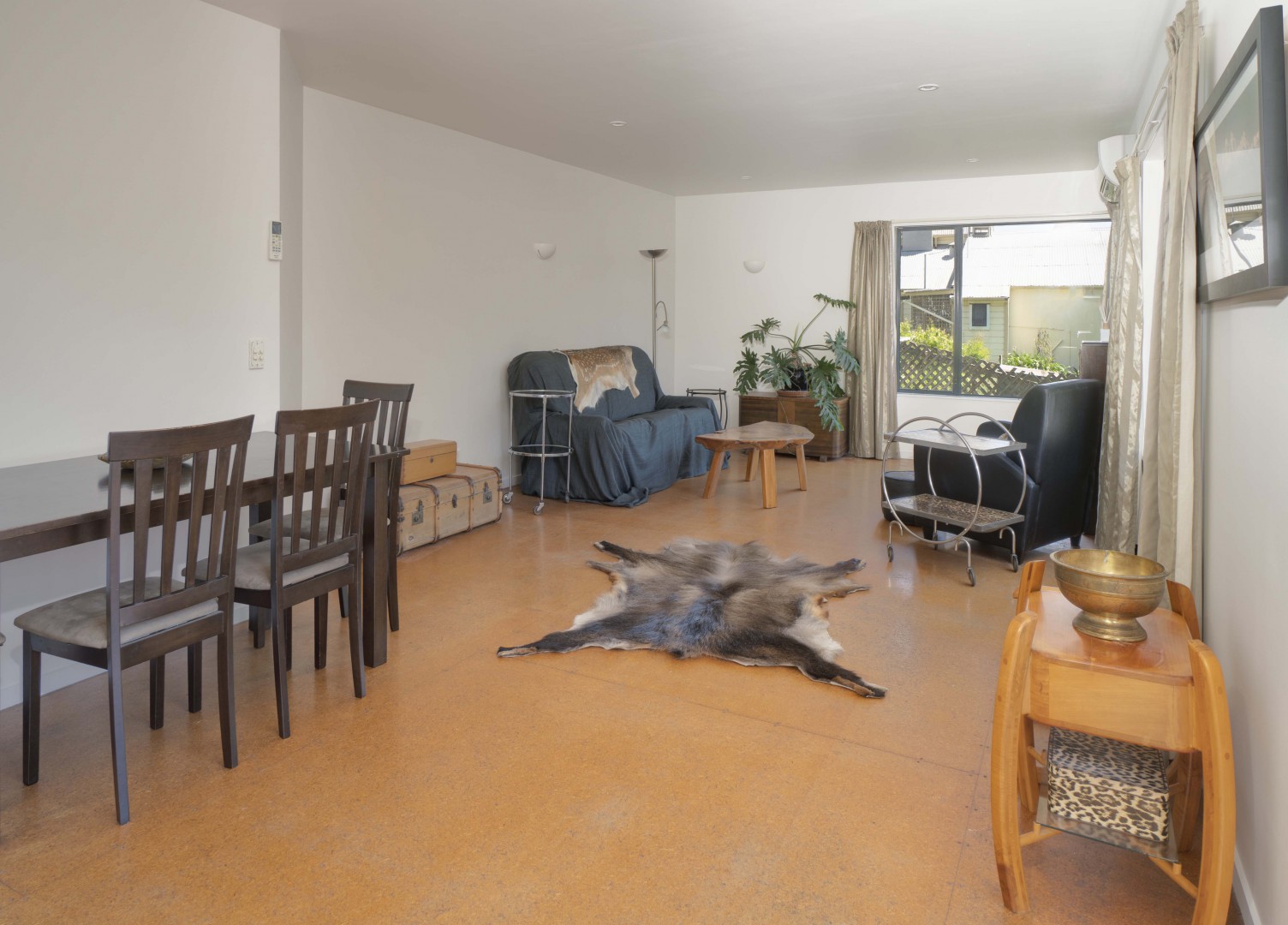 Campbell Street Cutie