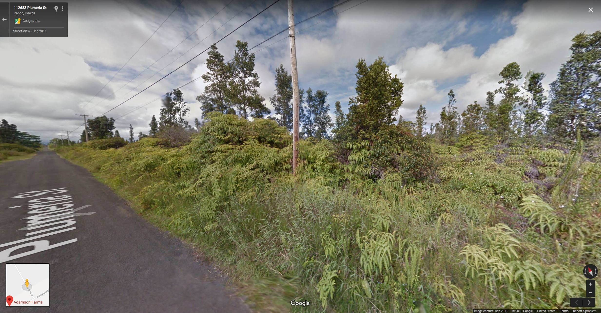 SOLD 2 Untouched lots on the Big Island of Hawaii 4 acres in Fern