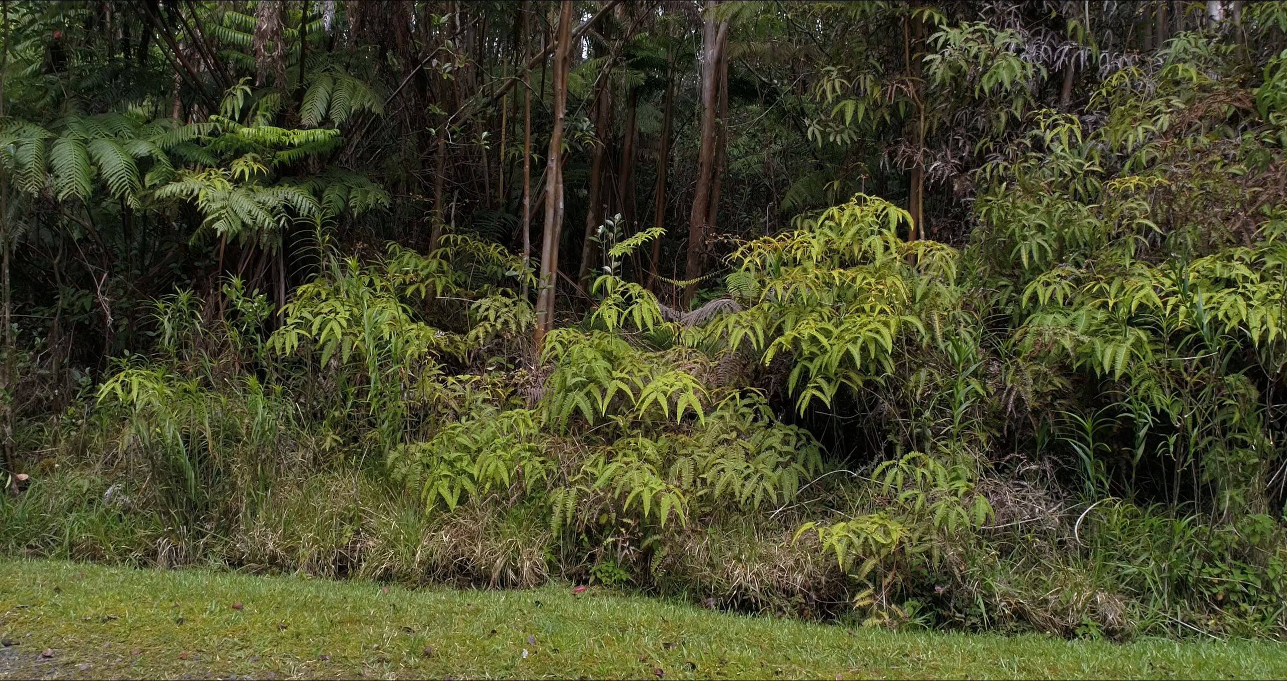 SOLD .28 Acre Near Volcano Rd Glenwood Gardens Summit Land Co