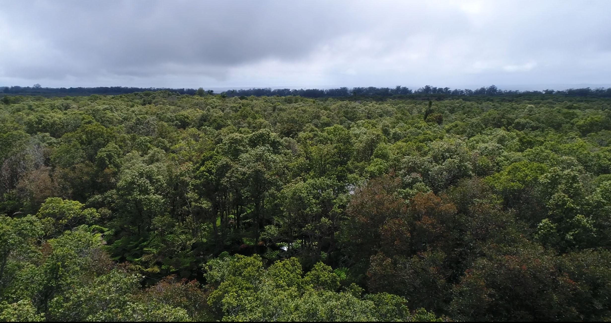 SOLD .28 Acre Near Volcano Rd Glenwood Gardens Summit Land Co