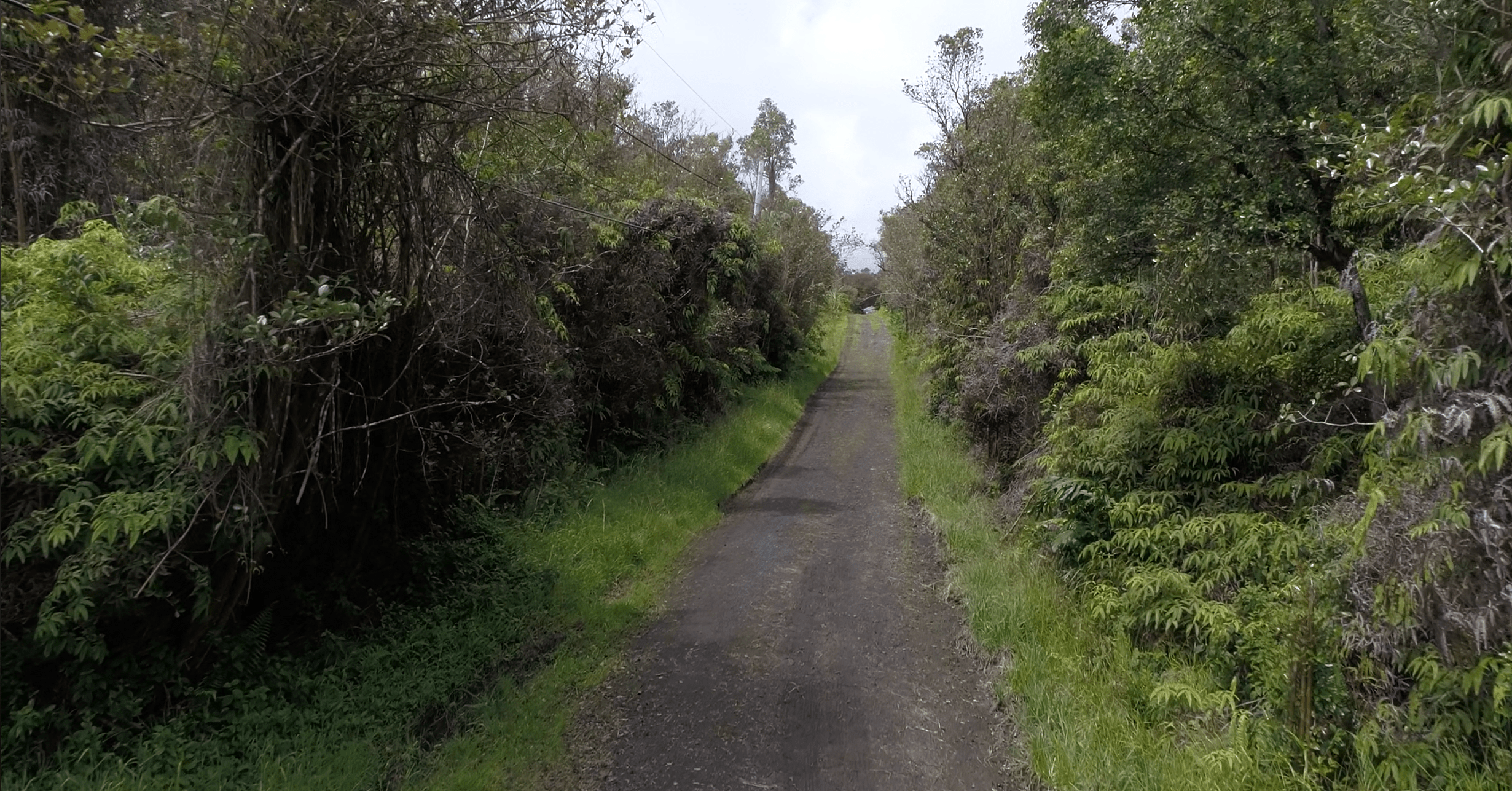 SOLD .2 Acre Cool Weather Escape Hawaiian Island Paradise Acres Summit Land Co Wholesale