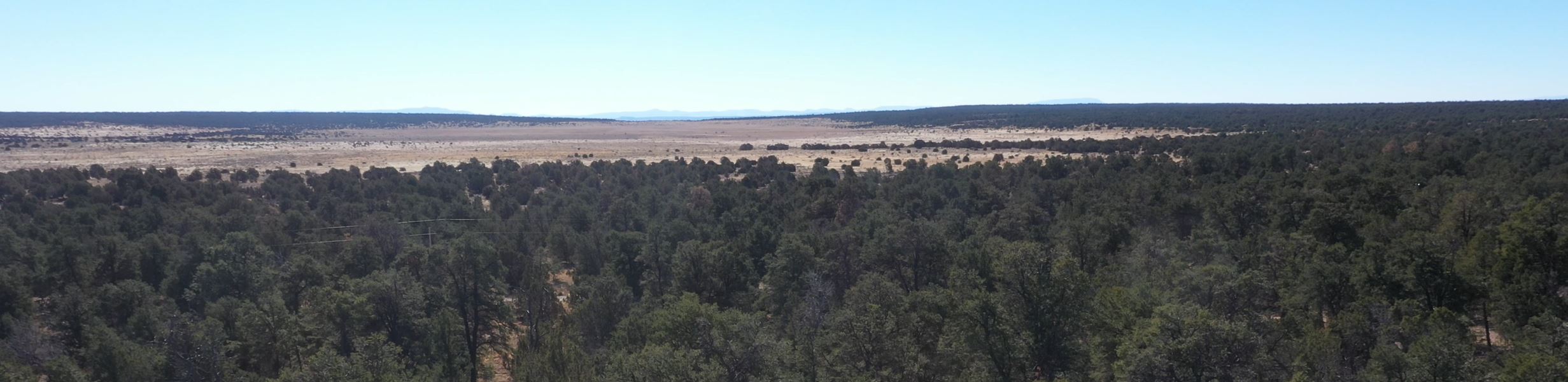 10 Acres Secluded with Trees Fence Lake NM 14,999 Summit Land Co