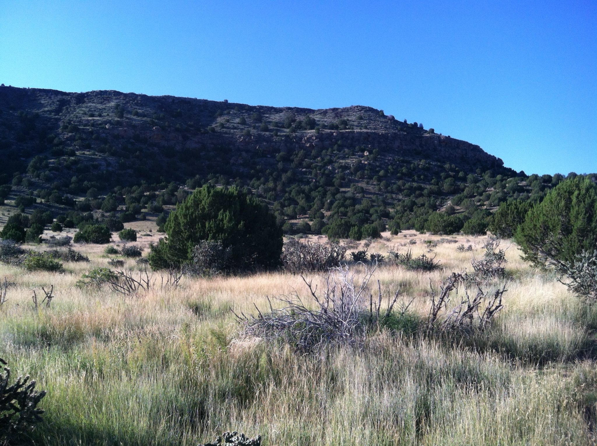 Oklahoma, Black Mesa (4,973 feet)