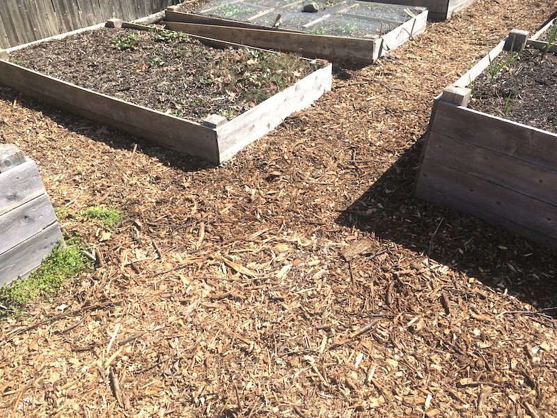 Spreading Wood Chips Summit Neighborhood Community Garden