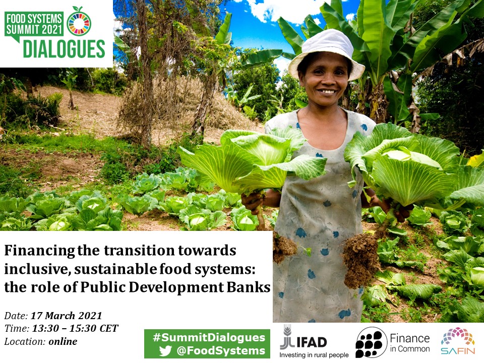 Financing the transition towards inclusive, sustainable food systems