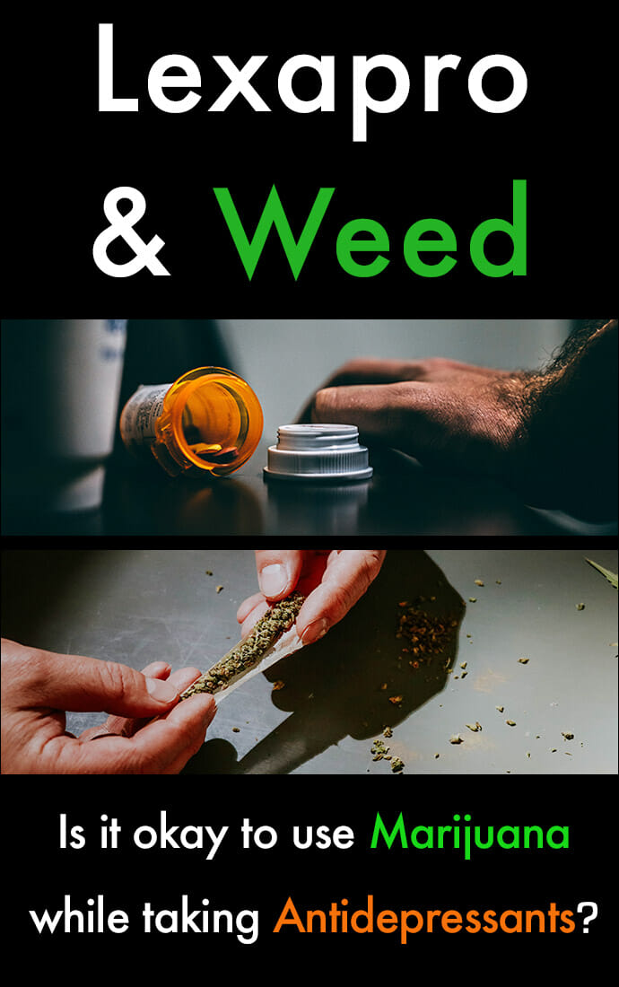 Lexapro and Weed or Alcohol Are They Safe to Mix? Summit Malibu