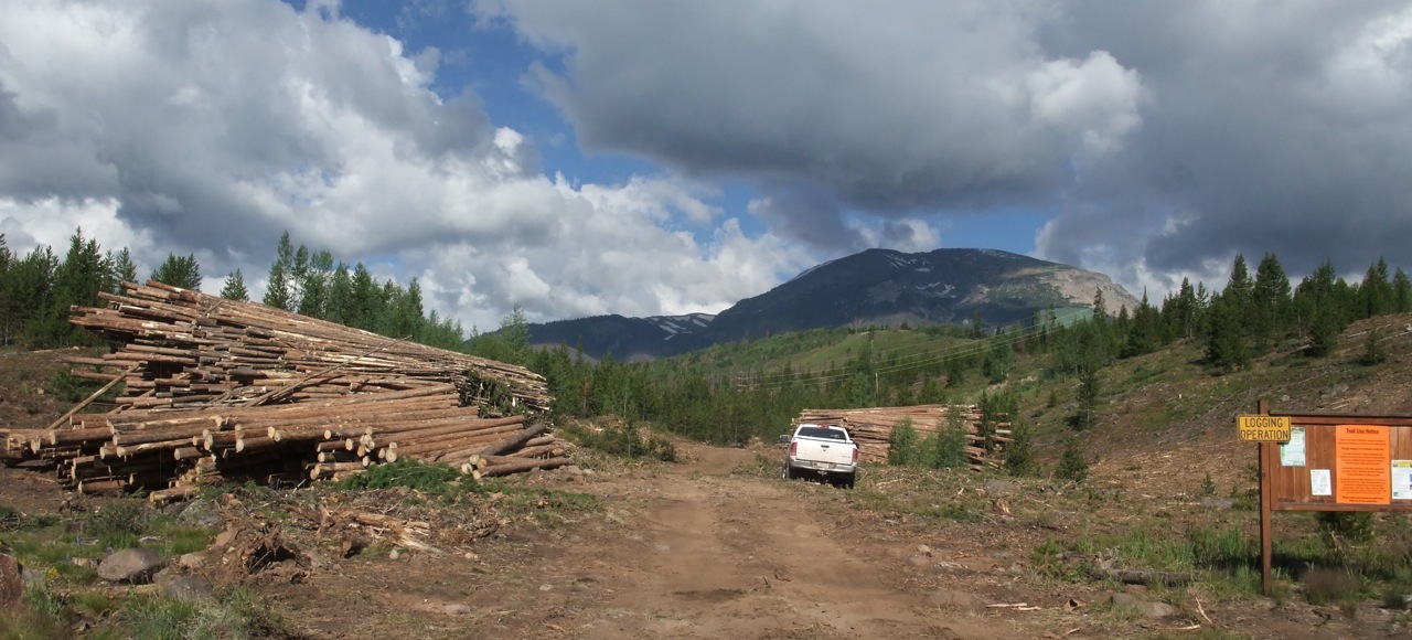Colorado’s struggling sawmills get some relief Summit County Citizens
