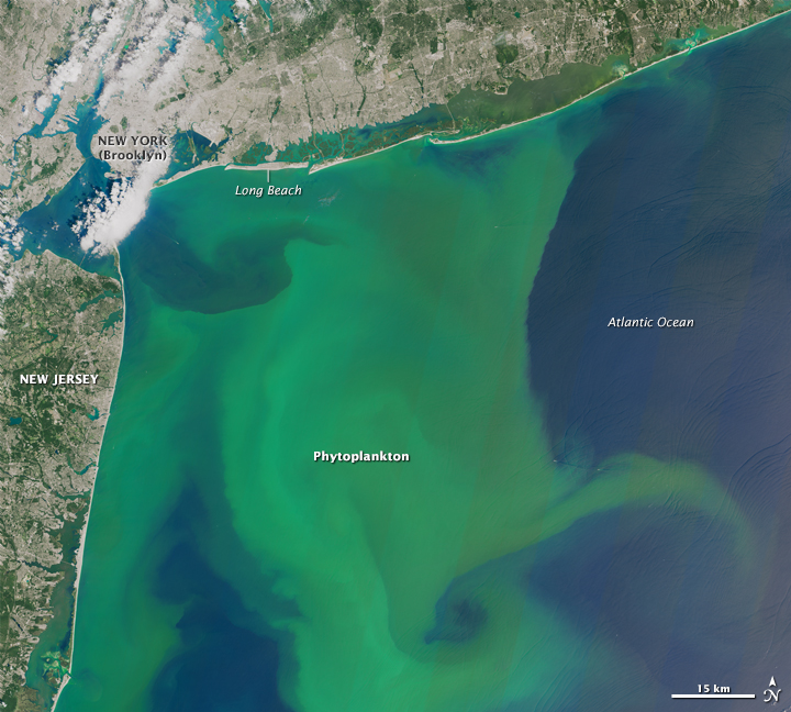 Oceans Scientists sound warning on harmful algae blooms Summit