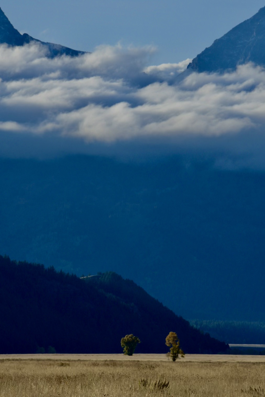 Summit Nature and Conservation Jackson Hole, WY