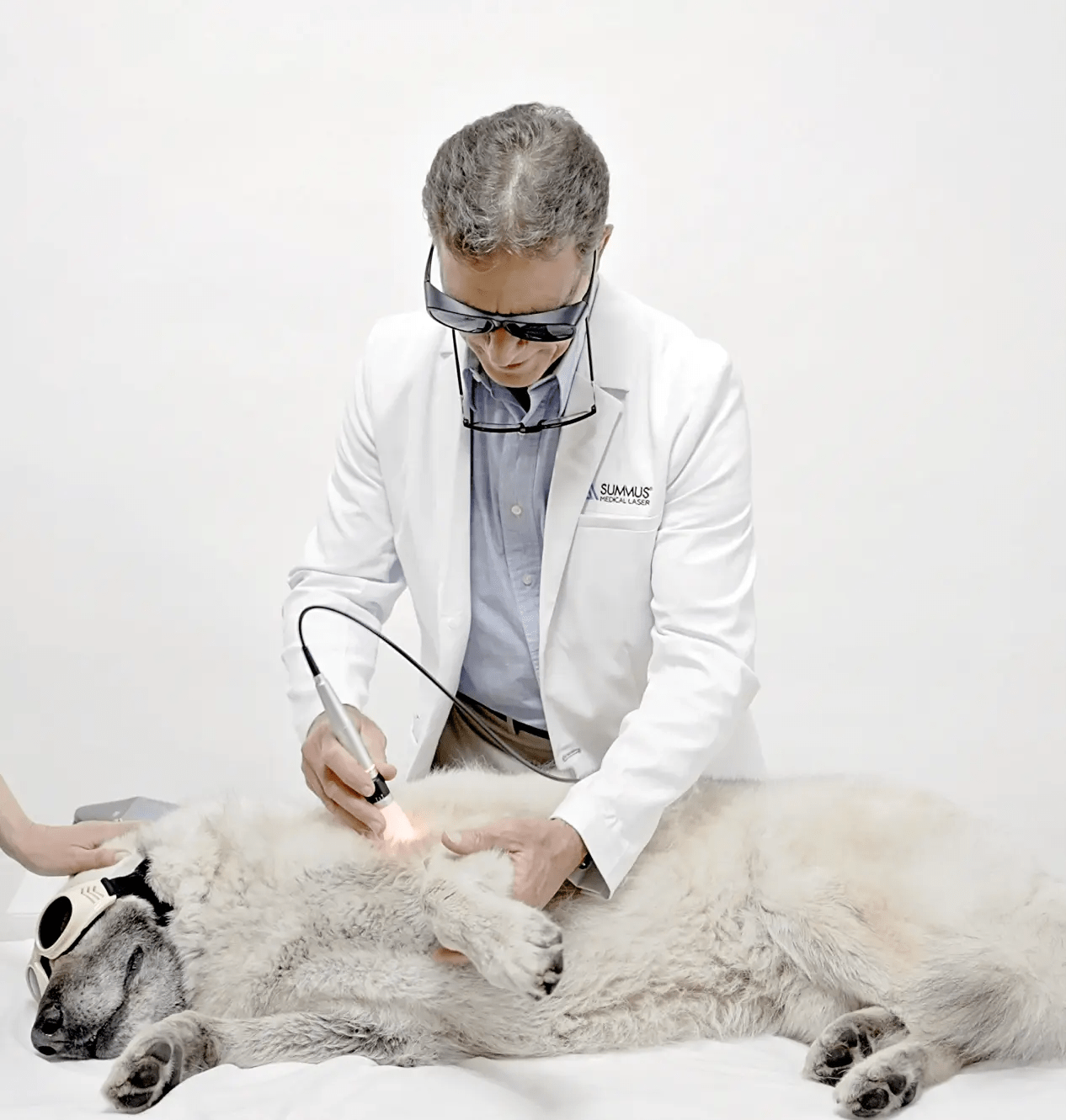 Class IV Therapy Lasers for Veterinarians