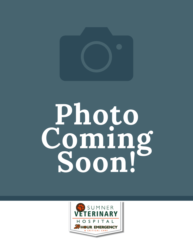 Sumner, WA Veterinary Team Sumner Veterinary Hospital