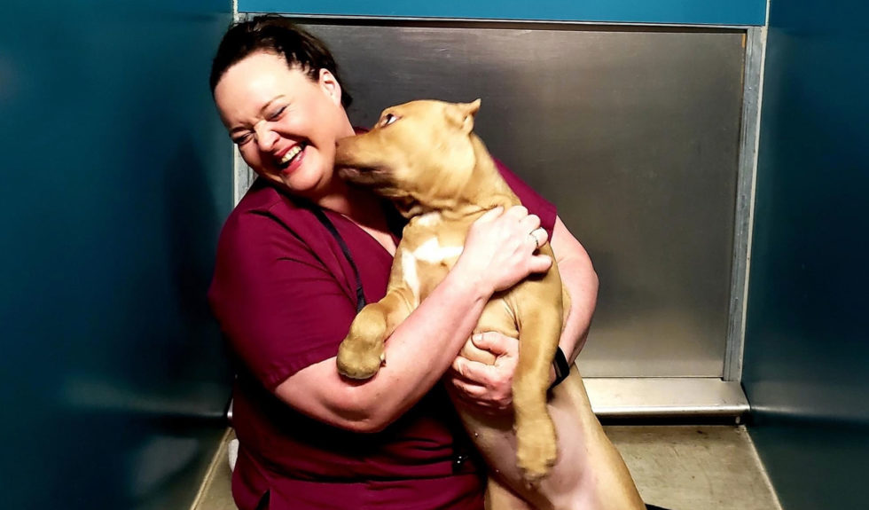 Sumner, WA 98390 Pet Boarding Sumner Veterinary Hospital