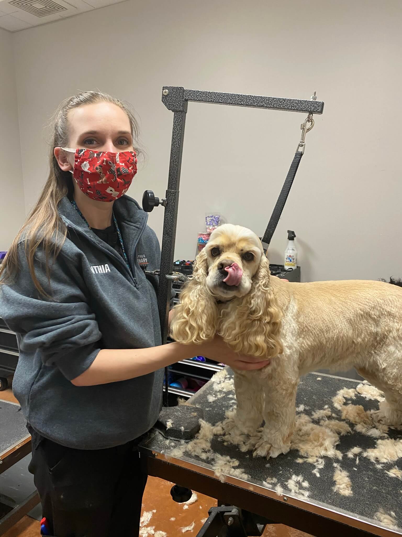 Sumner, WA Veterinary Hospital Tour Sumner Veterinary Hospital