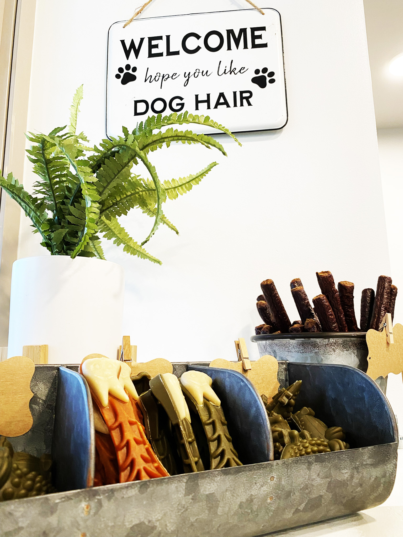 Sumner, WA Veterinary Hospital Tour Sumner Veterinary Hospital