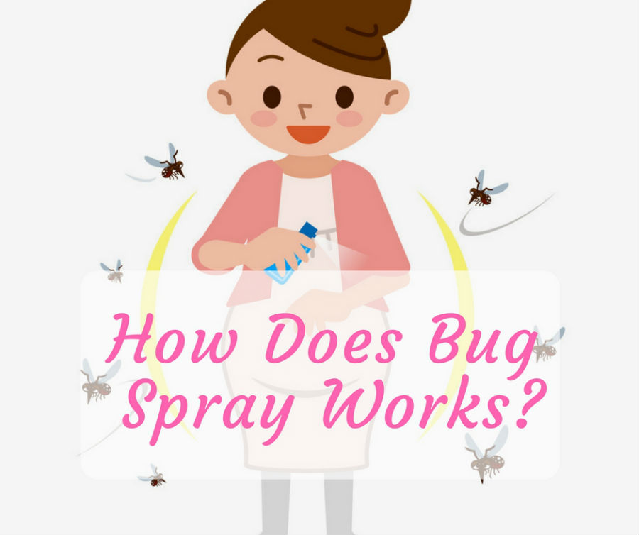 How Does Bug Spray Works? What You Need To Know