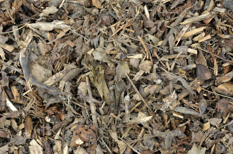 How to Make Compost for Your Garden The Ultimate Guide