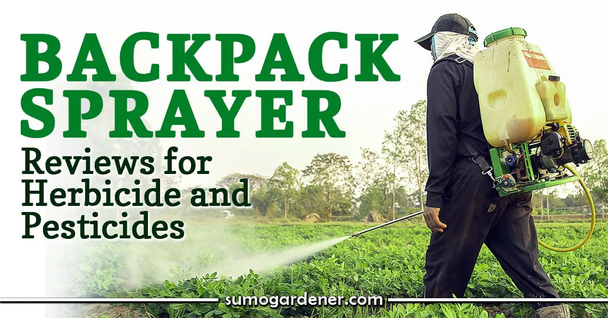 Best Backpack Sprayer 2021 Reviews For Herbicide and Pesticides