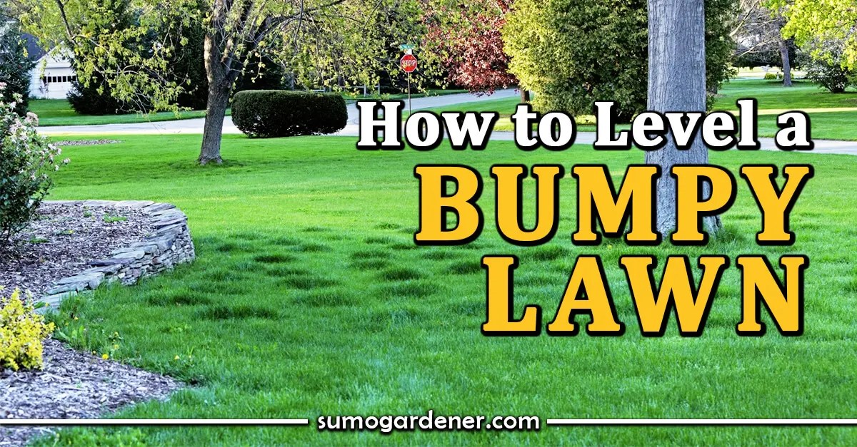 How To Level A Lumpy Lawn Premier Lawns