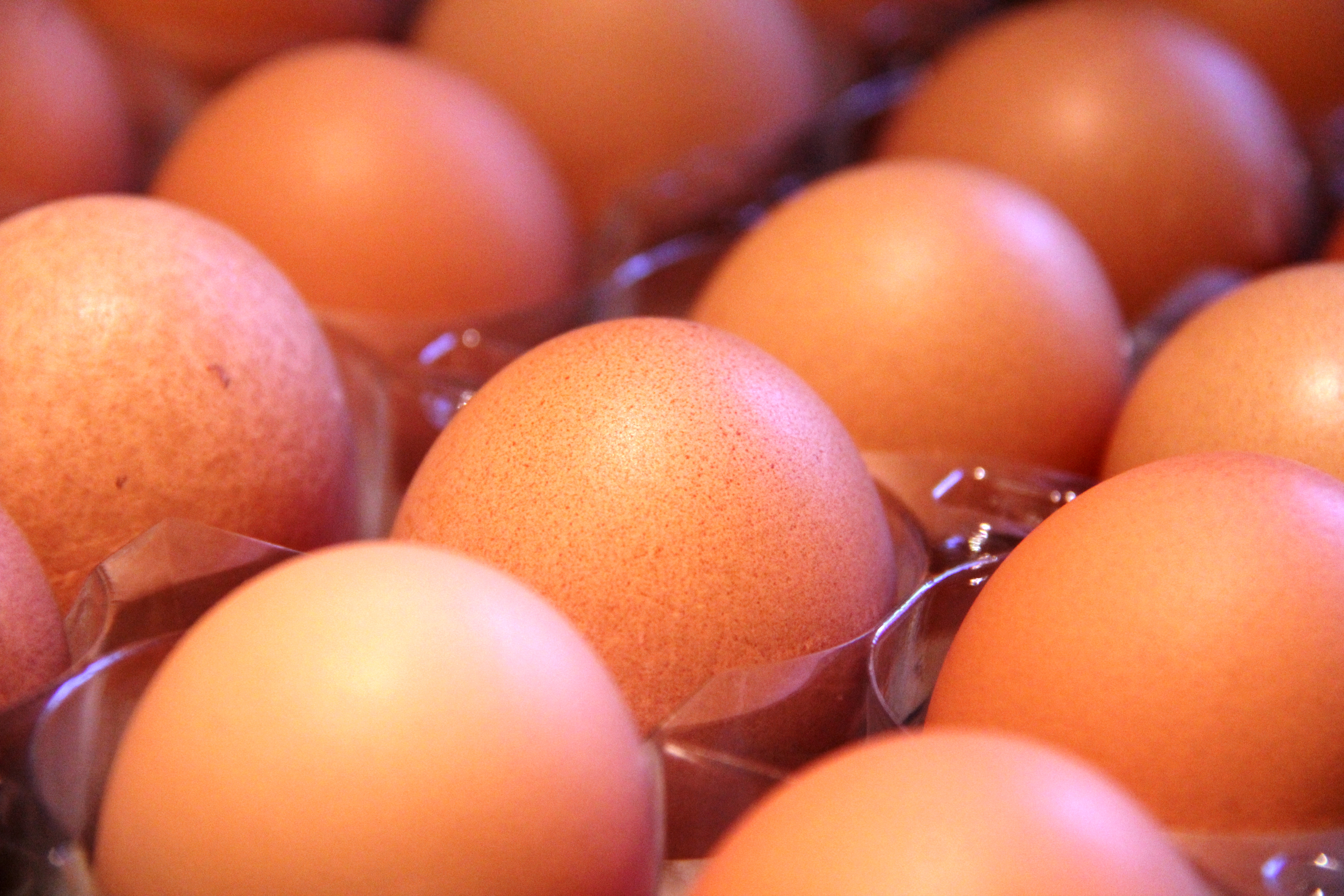 Pumpkin Chocolate Chip Walnut Pancakes Sumptuous LivingSumptuous Living