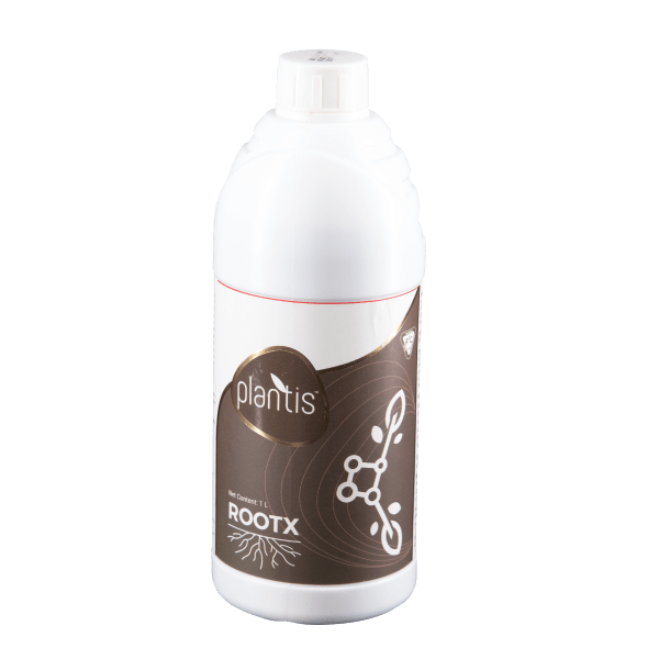 PLANTIS ROOTX Sumukha