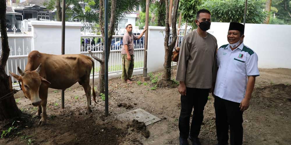 KAHMI Sumut Sembelih 8 Sapi, Pendistribusian Daging hingga ke Daerah Terpencil - Vimarsana News