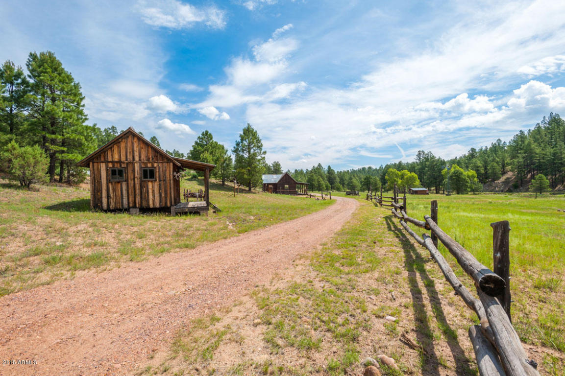 Don't Try To Buy A Home in Heber, Arizona Without Reading This First