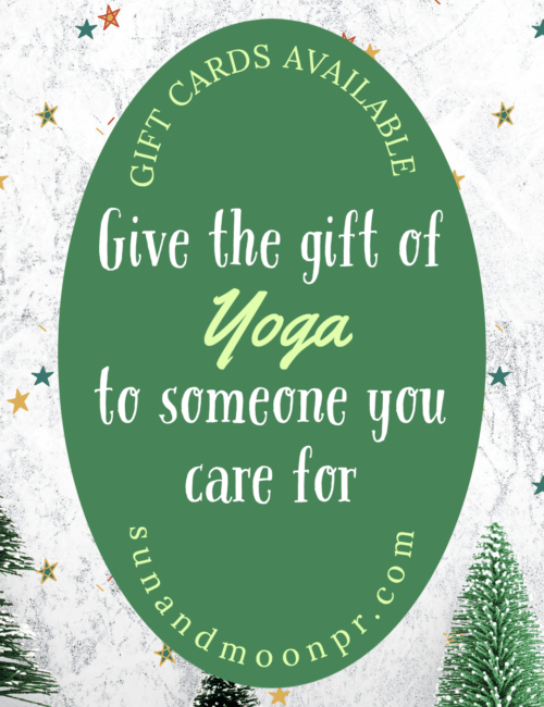 Sun and Moon Park Ridge Yoga studio