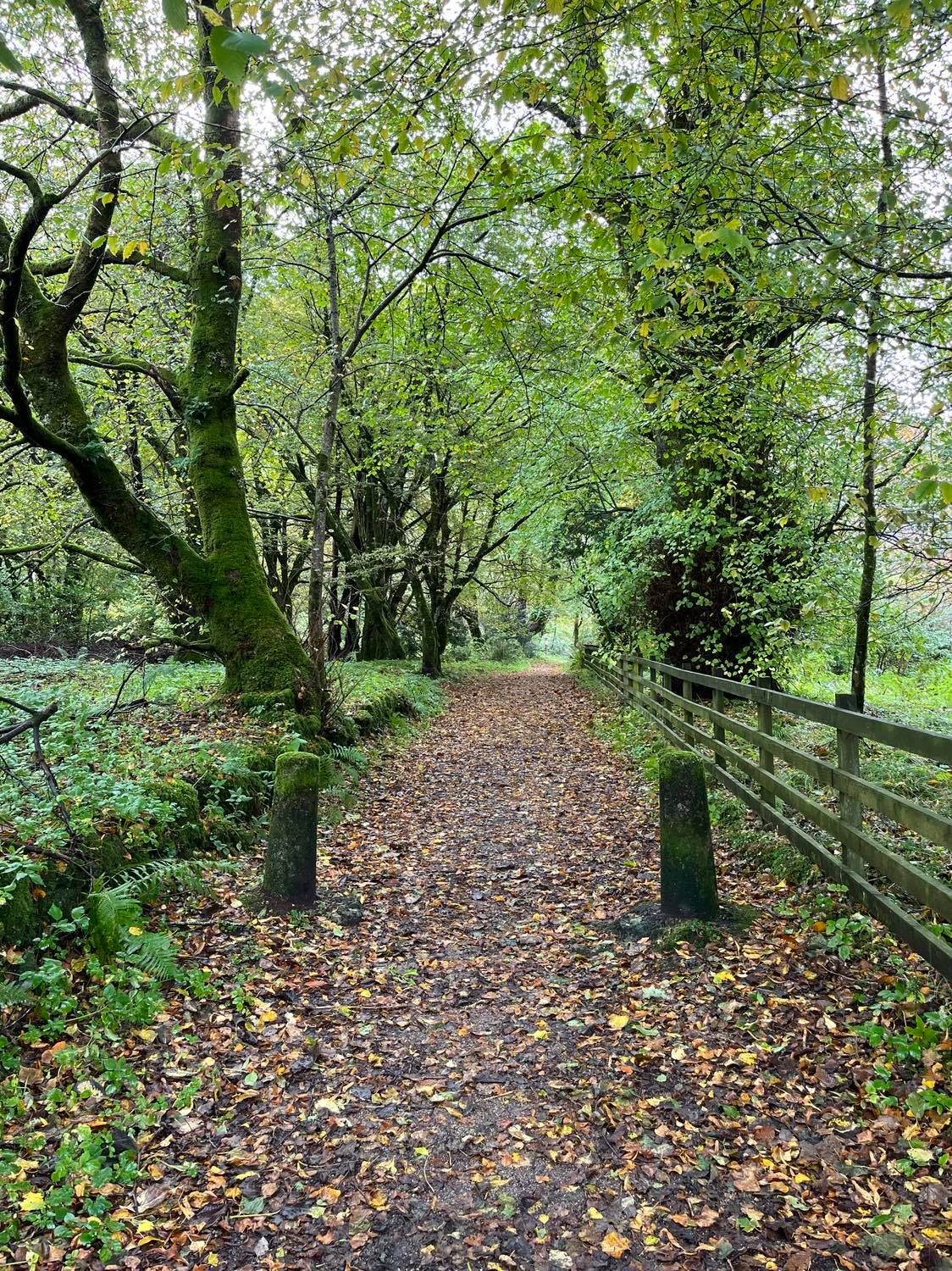 Gallery Sunart Camping