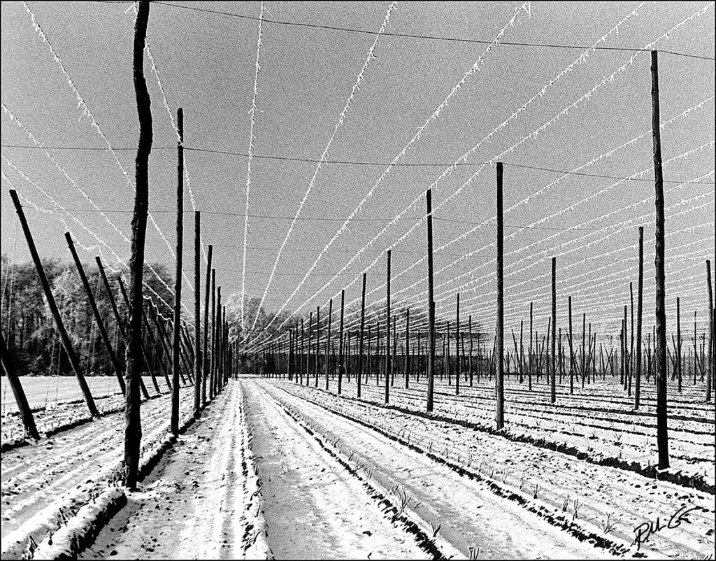 Photographic ElementsLines, Lines, Lines SUNBOUNCE PRO