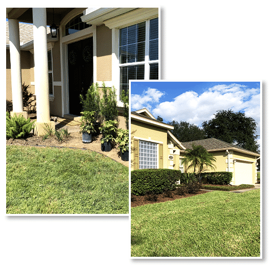 Landscaping by Sunbright Landscape