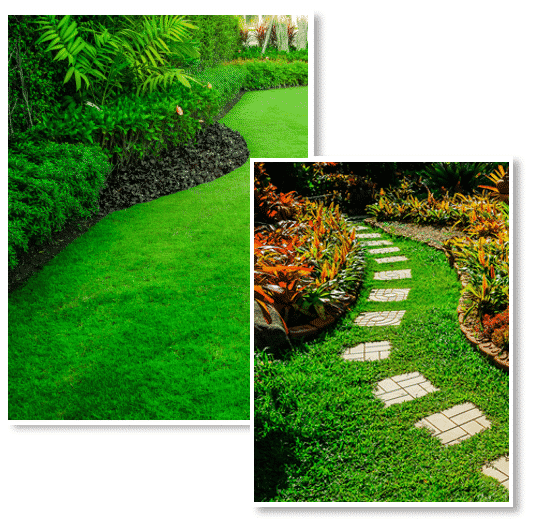 Landscaping by Sunbright Landscape