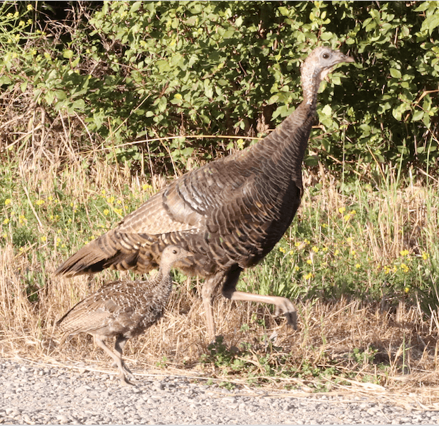 Sunburst News Update July 2020 Sunburst