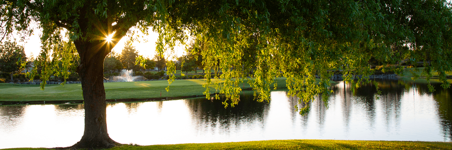 Sun City Roseville Resort Lifestyle for Active Adults