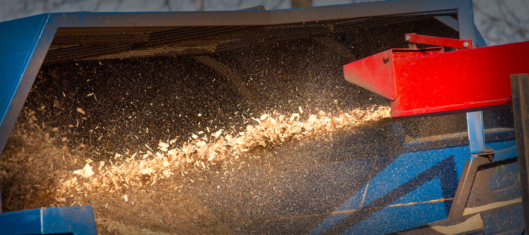 Tree Removal Townsville Tree Loppers Sun City Trees & Mulch