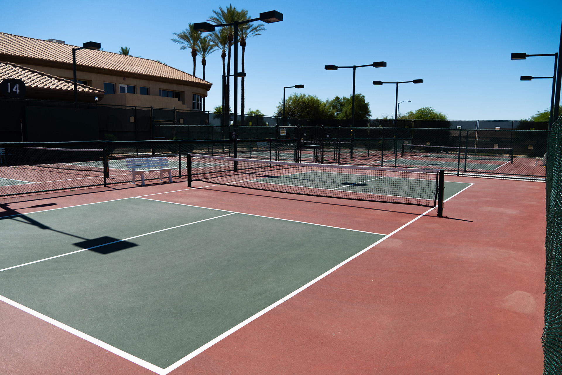 Palm Harbor Rec Center Pickleball at Lucinda Lyons blog