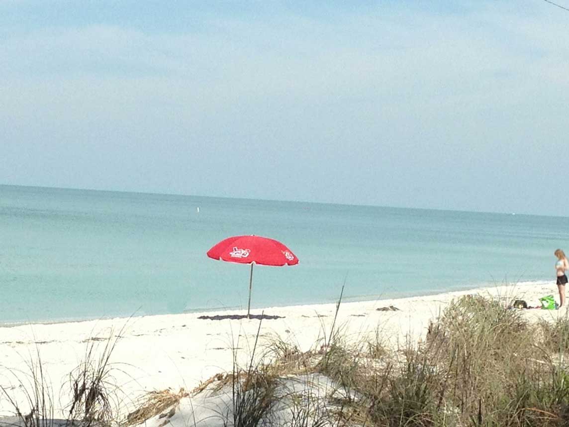 Real Estate Sales Report Charlotte and Sarasota Counties, FL August