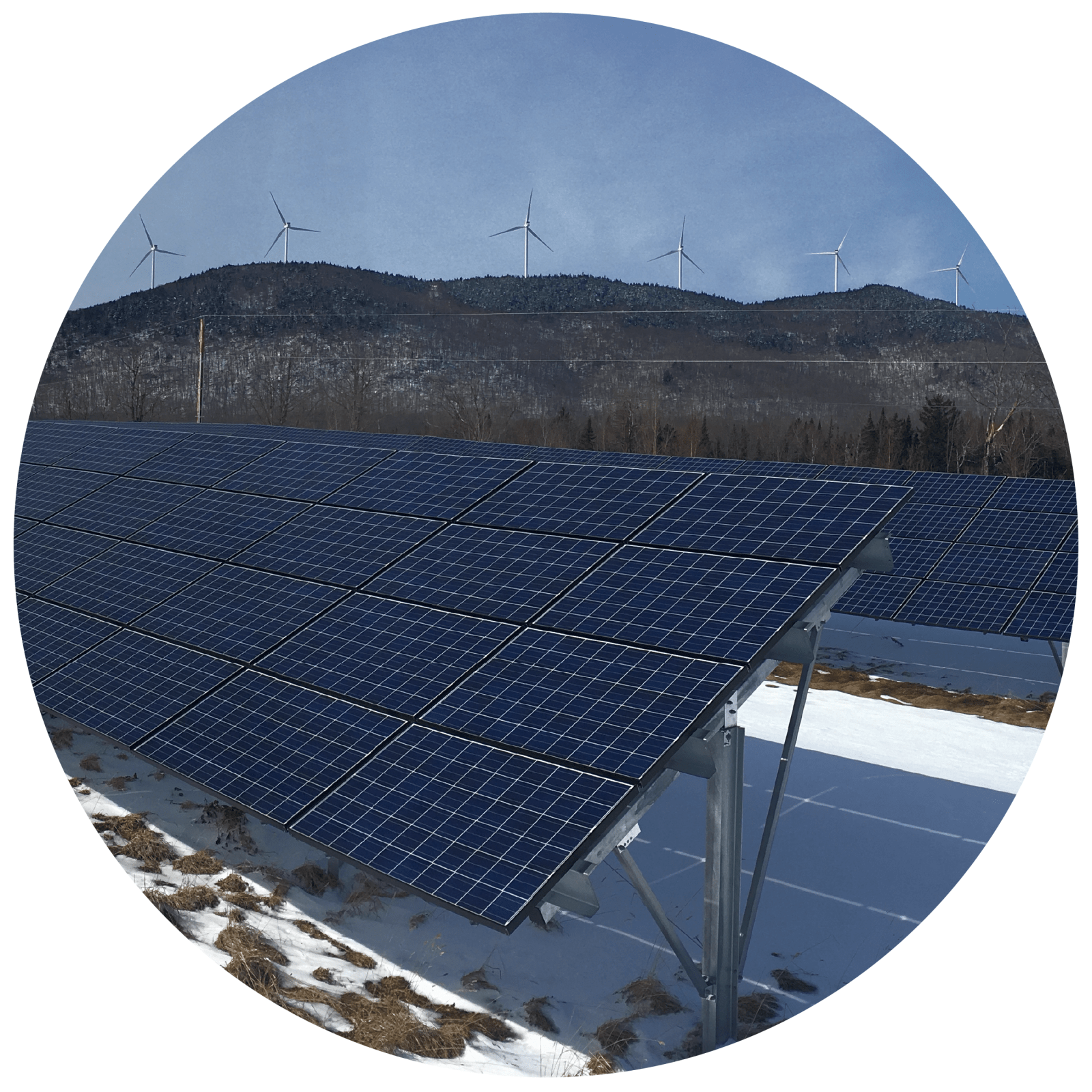 Community Solar Arrays by Sharing Solar Locally