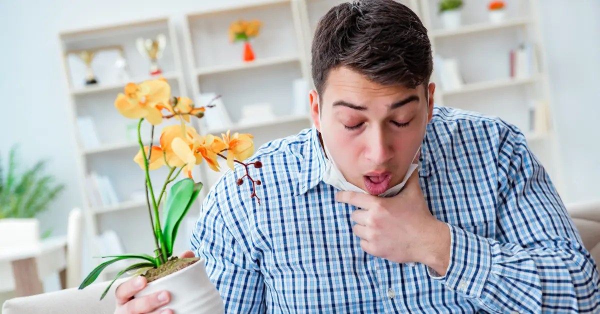 What Happens When You Have an Allergic Reaction to Food? Suncore