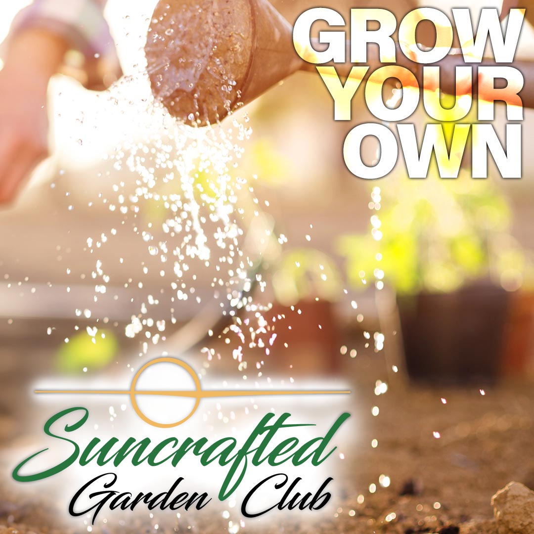 Suncrafted Cannabis Middleboro Dispensary Near Me