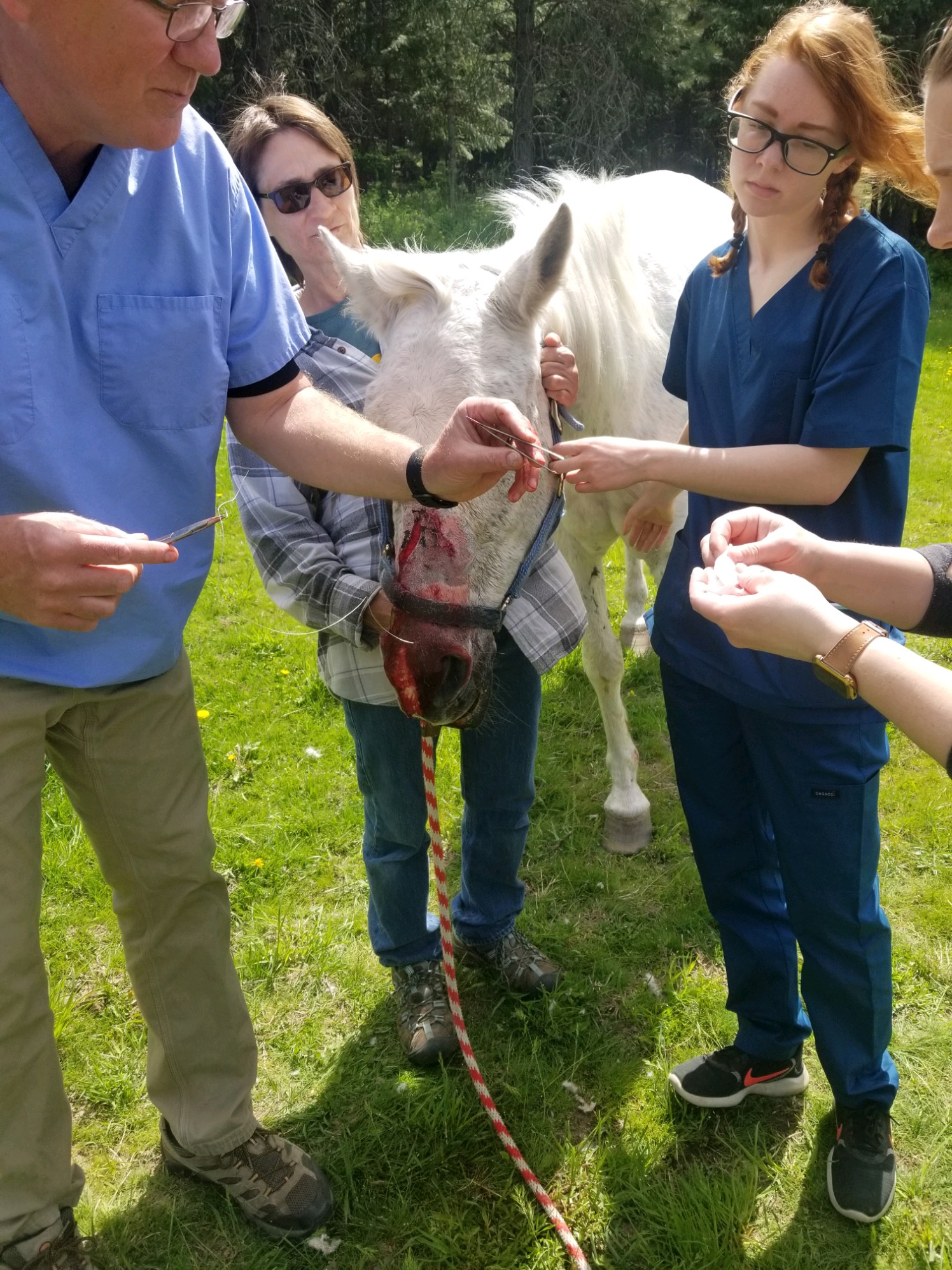 Pet Photo Gallery Nine Mile Falls, WA Suncrest Veterinary Services