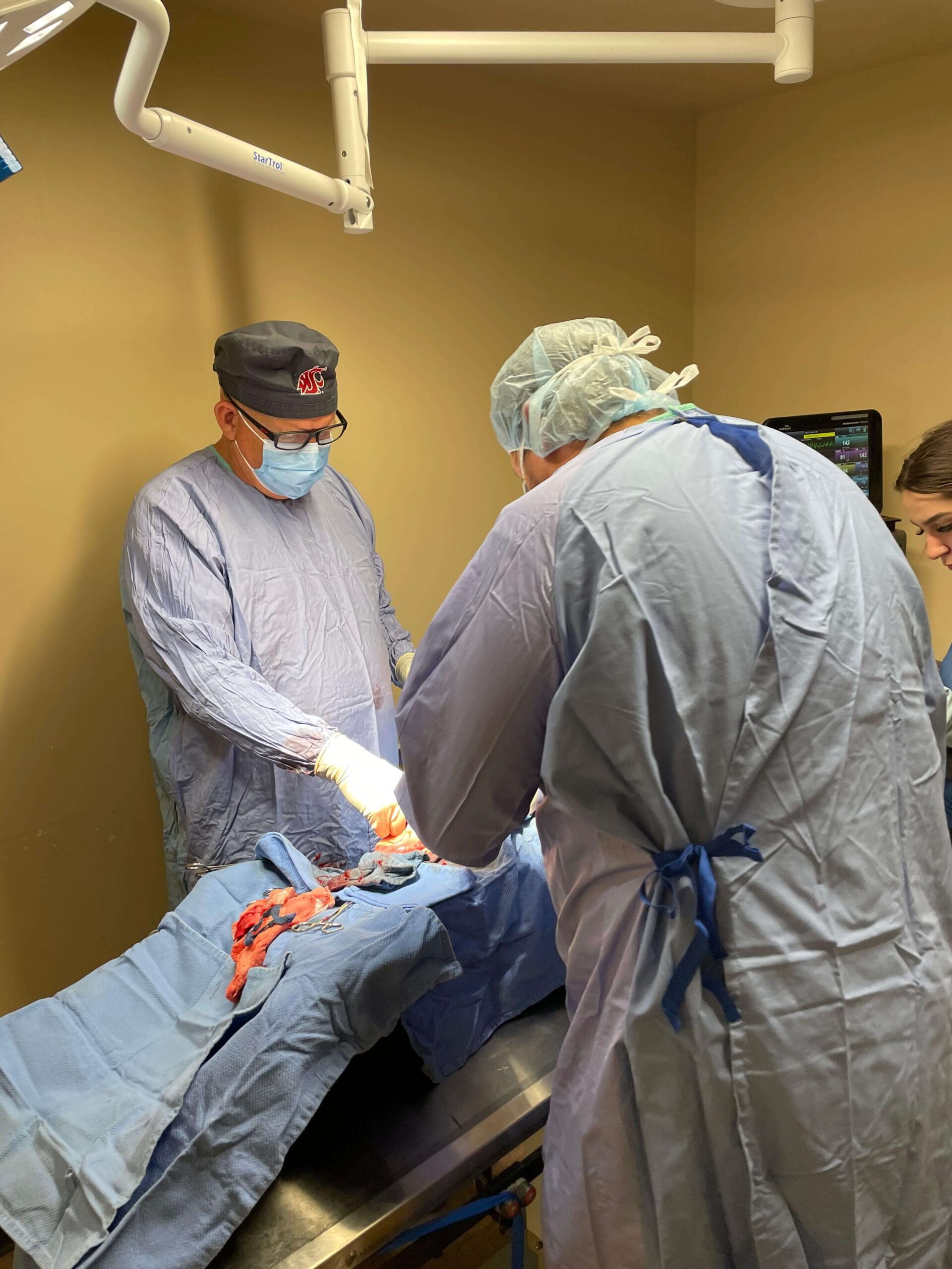 Pet Photo Gallery Nine Mile Falls, WA Suncrest Veterinary Services