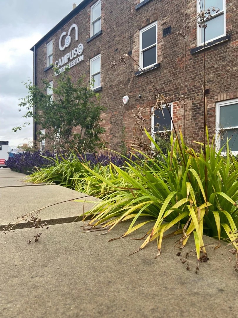 Hambleton District Council Sunderland Creatives Agency