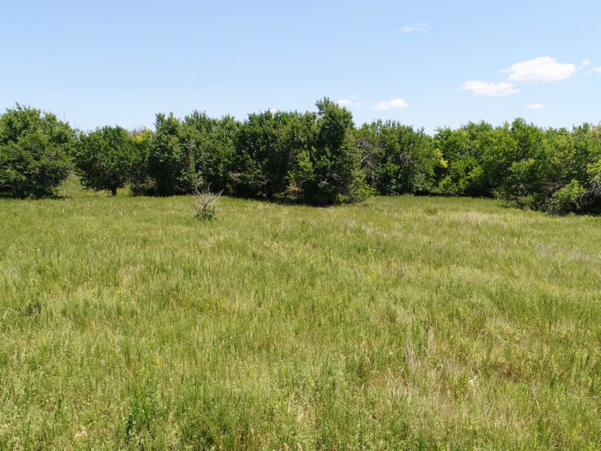 Cowley County Kansas Hunting Land For Sale Sundgren Realty Inc