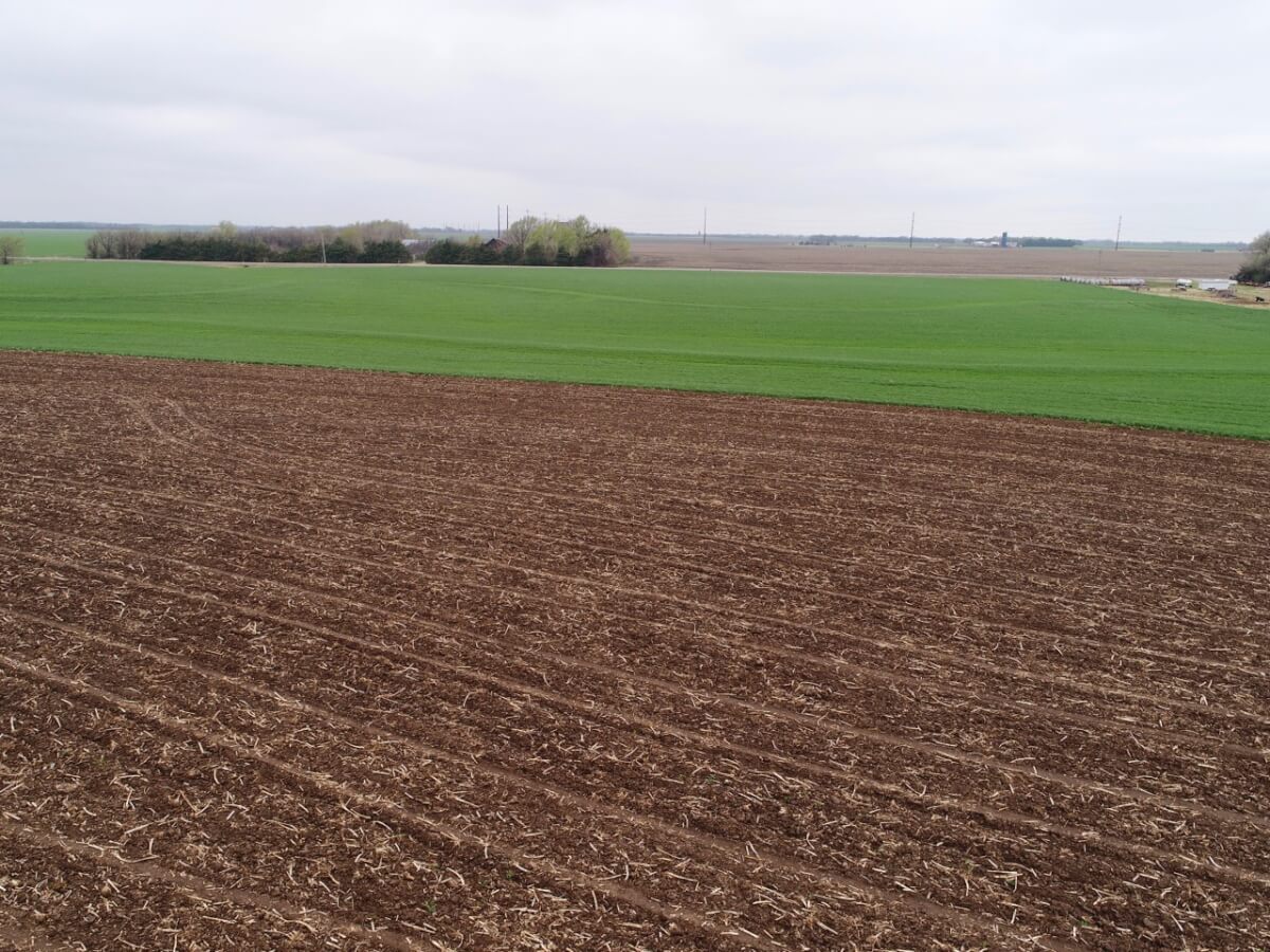 Tillable Land For Sale Near Andale & Colwich Sundgren Realty Inc
