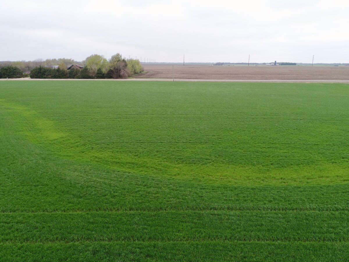 Tillable Land For Sale Near Andale & Colwich Sundgren Realty Inc