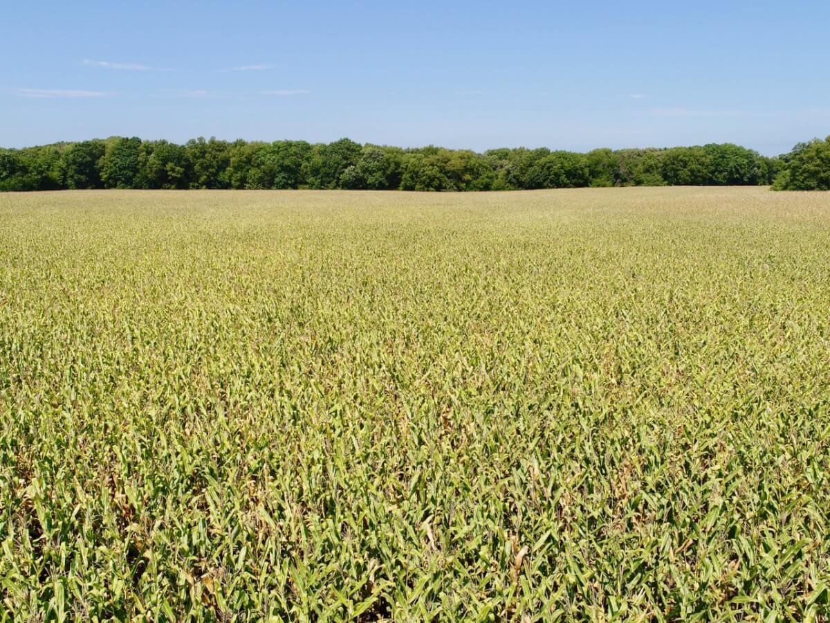 Butler County Kansas Agriculture, Hunting, & Recreation Land For Sale
