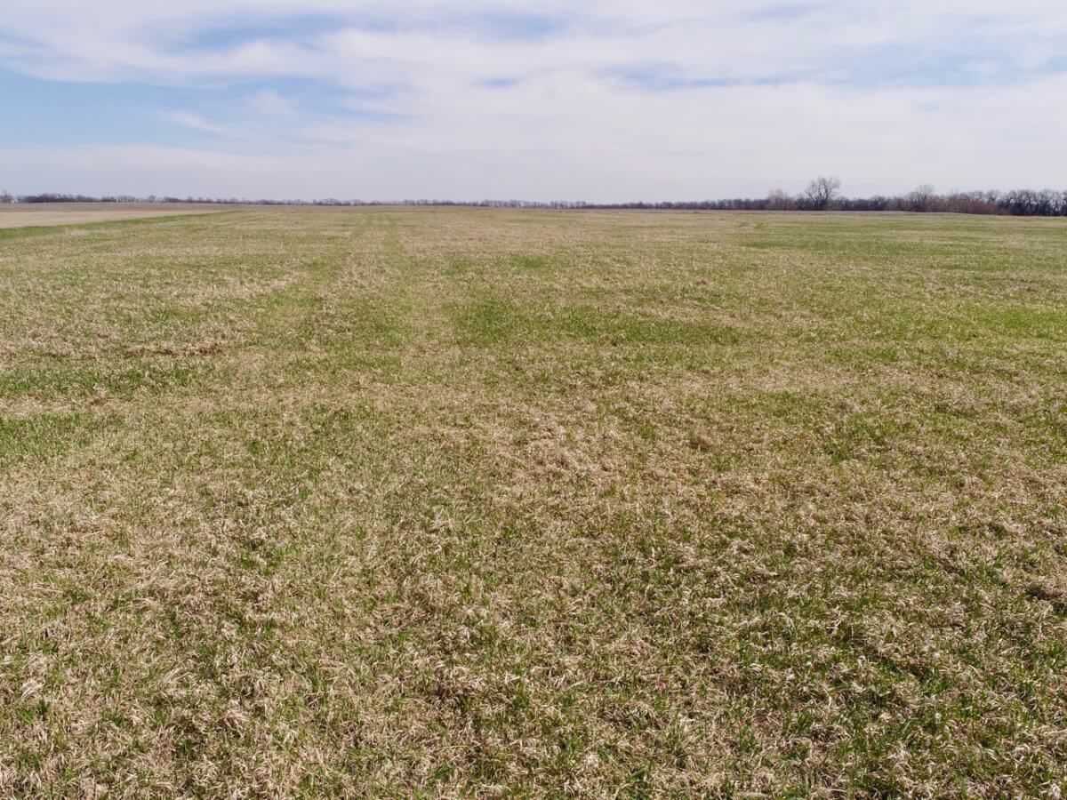 40+ Acres North of Walton KS Sundgren Realty Inc