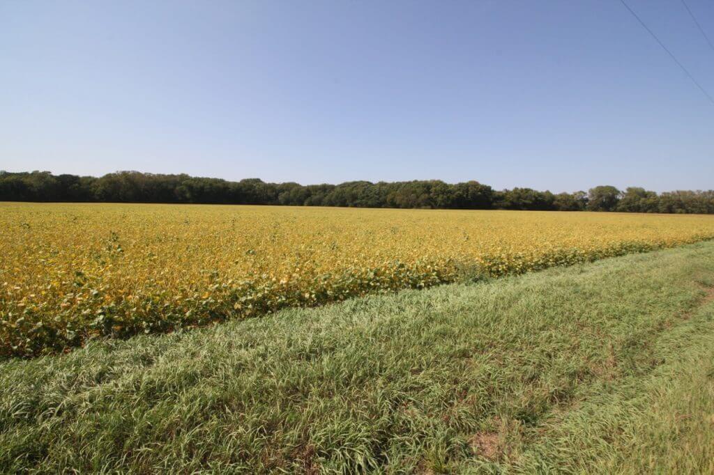 Greenwood County Kansas Farm & Ranch Land For Sale Sundgren Realty Inc