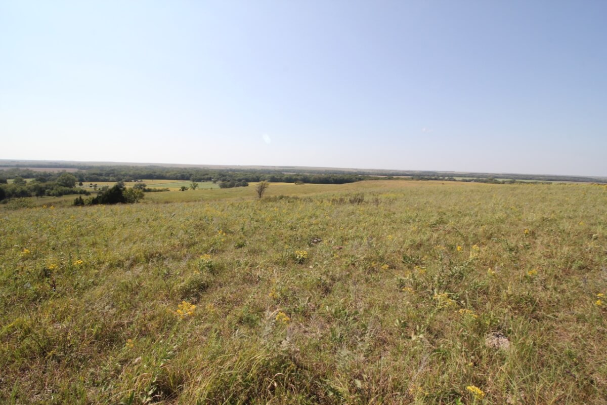 Greenwood County Kansas Farm & Ranch Land For Sale Sundgren Realty Inc