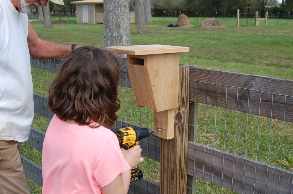 Bluebird Houses Built with the Girls Sundown Farms